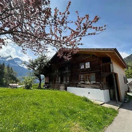 2-bedrooms In A Meiringen