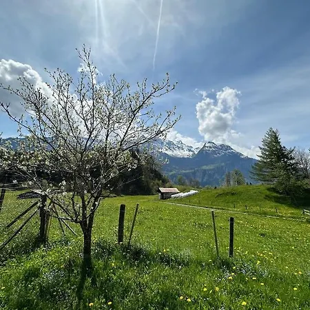 2-bedrooms In A Meiringen